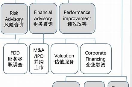 ibm咨询与四大相比（ibm咨询与四大相比哪个好）