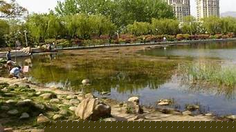 李村公园景观设计（李村公园景观设计招标）