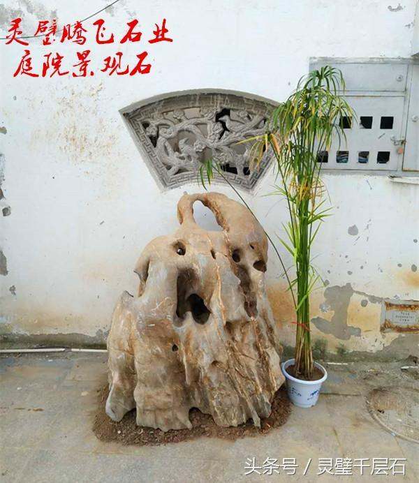 别墅周围绿化设计图片(别墅周围绿化设计图片欣赏)