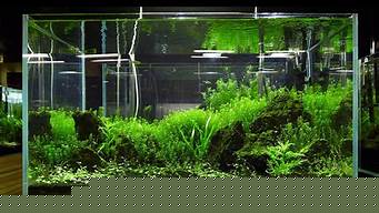 水族景观设计原则是