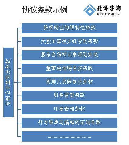 公司股权结构设计案例(公司股权结构设计案例论文)