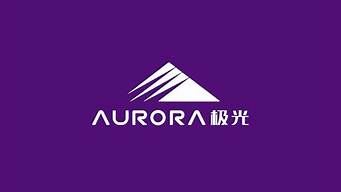 国外高端logo设计（国外高端logo设计 创意设计）