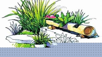 景观设计草木如何画图（景观设计草木如何画图片）