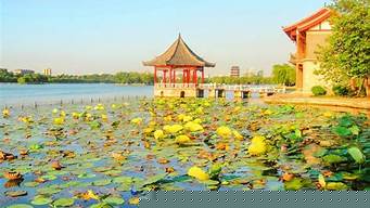 济南哪里有景观设计（济南哪里有景观设计培训班）