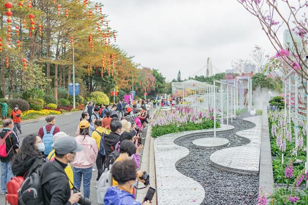 北江景观设计公司（北江景观设计公司怎么样）
