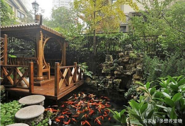 家庭庭院景观设计图（家庭庭院景观设计图平面图）