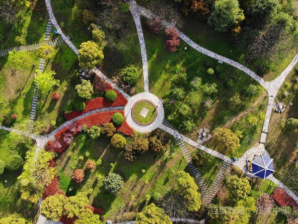 花园设计小庭院（自家院子设计成小花园）