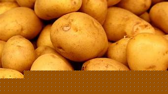 potato最新版本（potato最新版本下载）