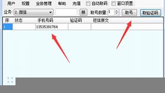 虚拟海外手机号注册（收验证码短信平台）