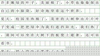200字左右小作文（200字左右小作文初中）