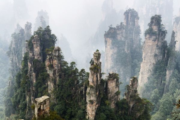 奇葩的景观设计图片（奇葩的景观设计图片欣赏）