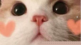 天猫到现在买了多少钱了（天猫到现在卖了多少钱）