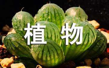 关于声音的景观设计图（关于声音的绘画作品）