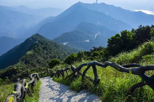 深圳仙湖植物园景观设计（深圳仙湖植物园景观设计师是谁）
