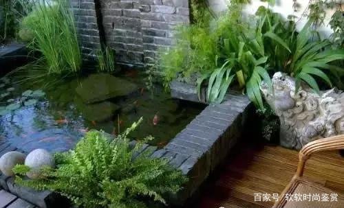 小池塘周围景观设计图（小池塘周围景观设计图片大全）