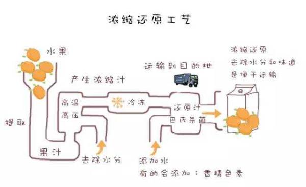 进口果汁品牌排行榜（进口果汁品牌排行榜小马宝莉袋装葡萄汁）